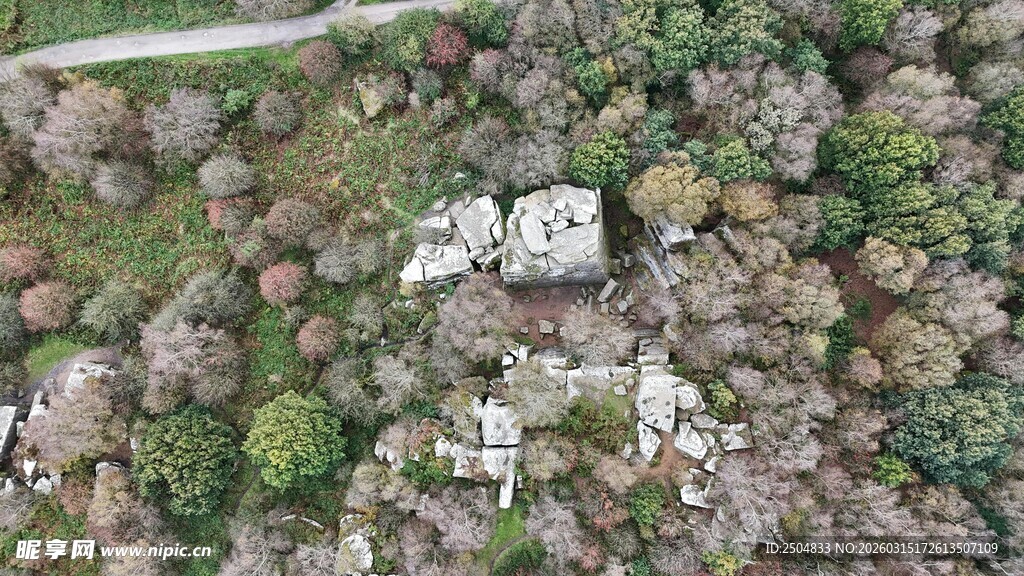 空中俯瞰林间建筑