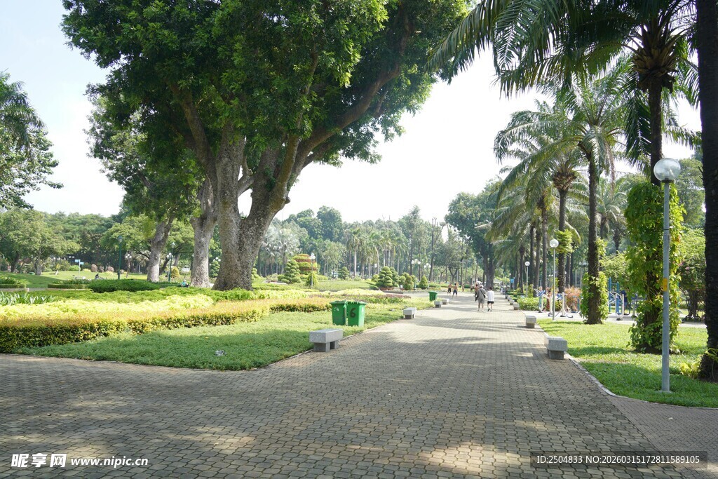 公园林荫小道景观