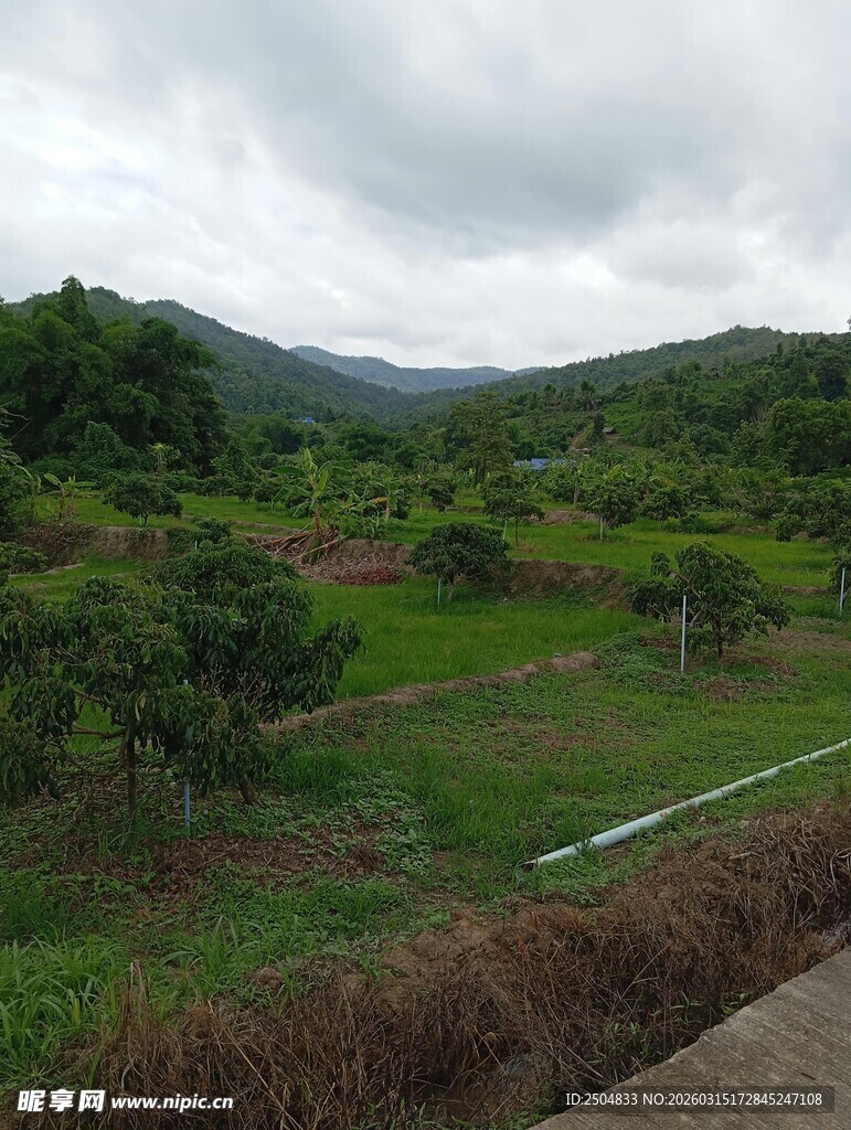 山间绿野田园风光美景