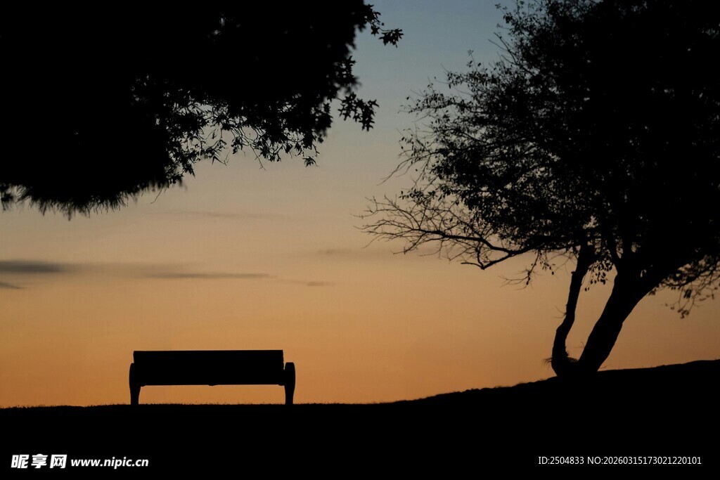 黄昏下的长椅与树木