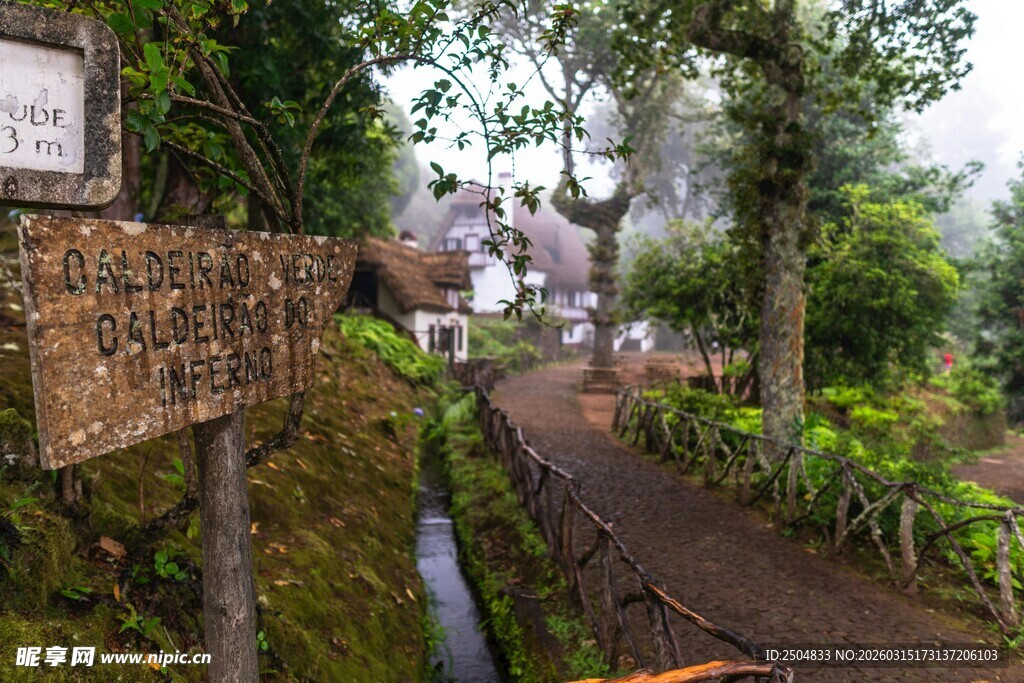 山间小径旁的绿植与水渠