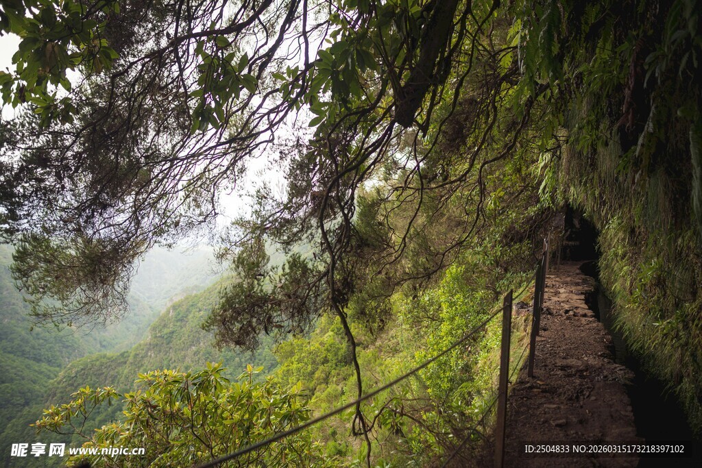 山林间的幽静小径