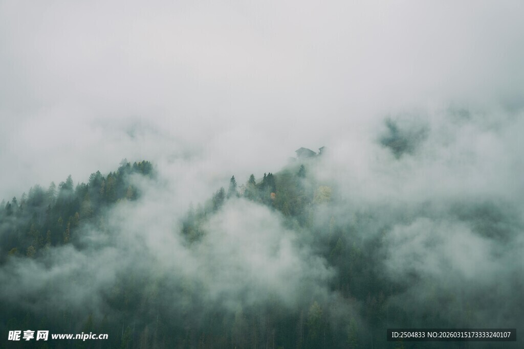 云雾缭绕的山林景观