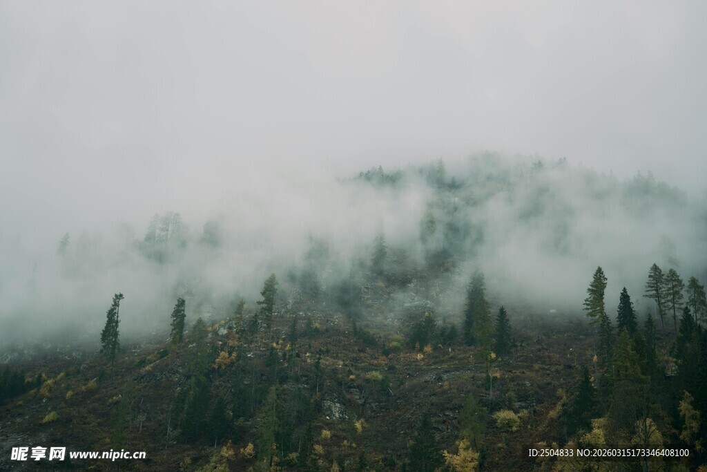 山林云雾缭绕美景