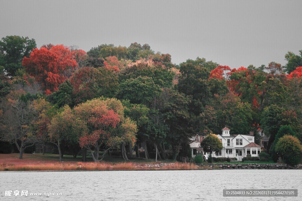 湖畔秋景 多彩树林与屋舍