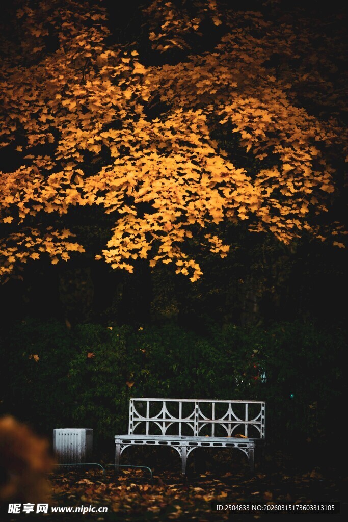秋景中复古风格街道标志