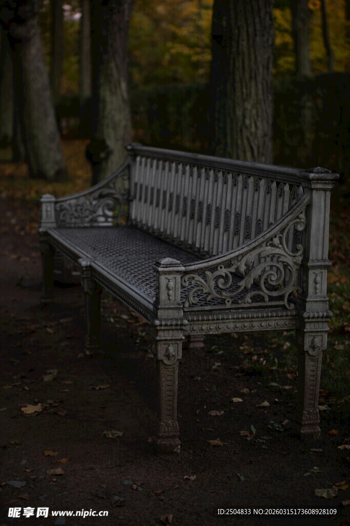 林间雕花长椅 静谧景致