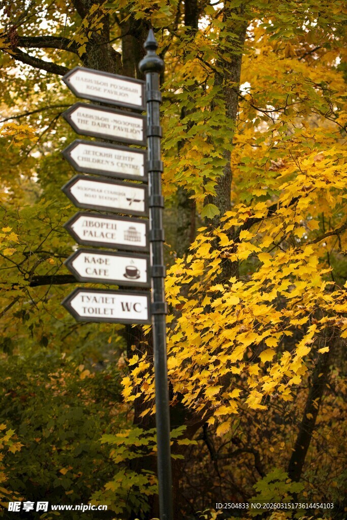 秋日林间多向指示路标