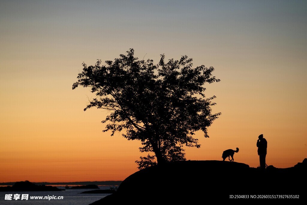夕阳下的一人一树两犬