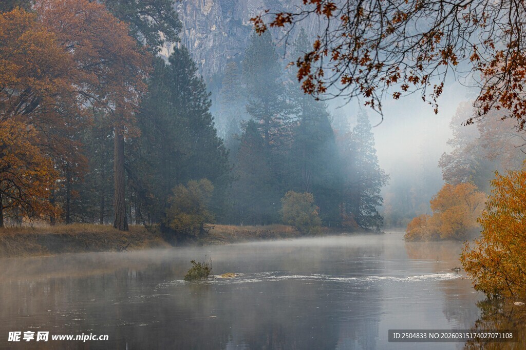 秋日晨雾中的静谧森林
