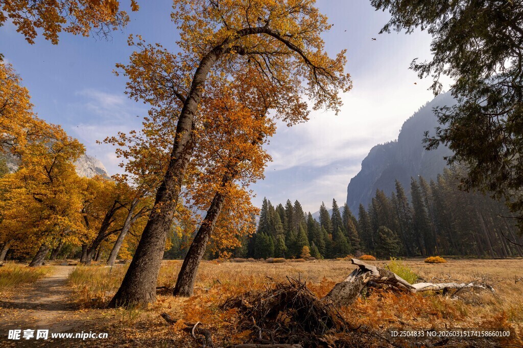 秋日山林中的壮丽风景