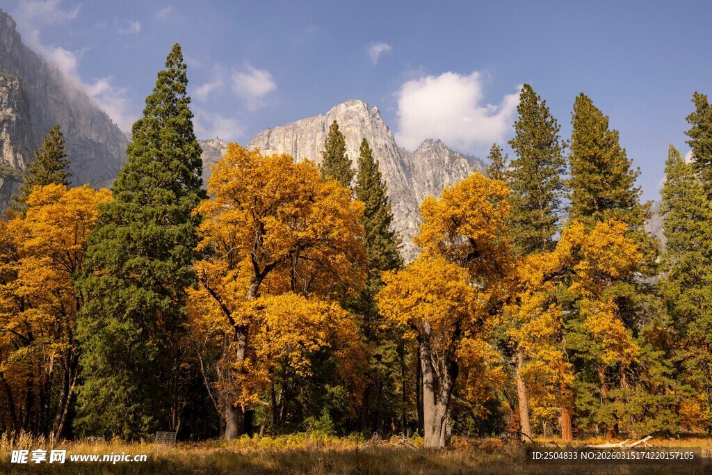 秋日山林湖畔美景