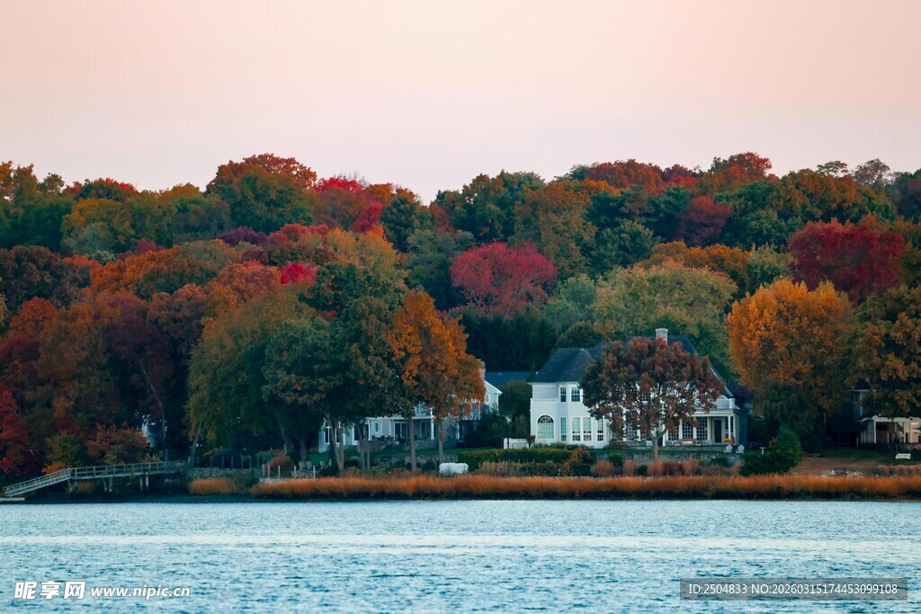 湖畔秋景 多彩树林与屋舍