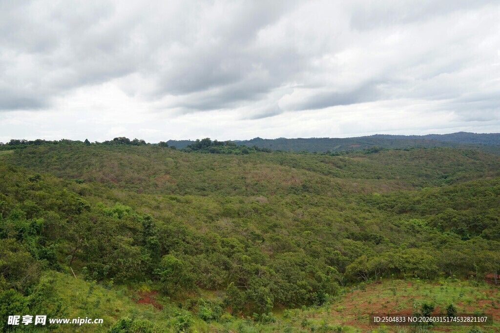 绿意盎然的山野景观
