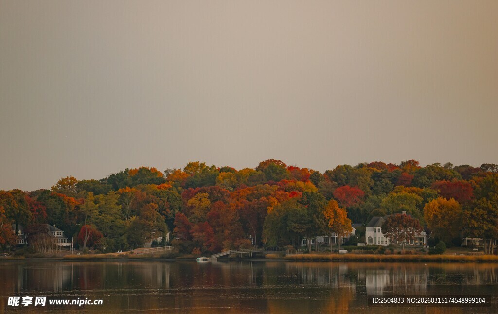 湖畔秋色斑斓的多彩树林