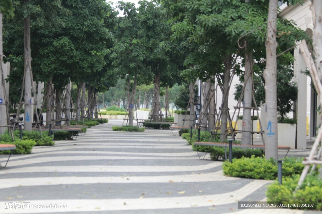 林荫步道 静享自然惬意