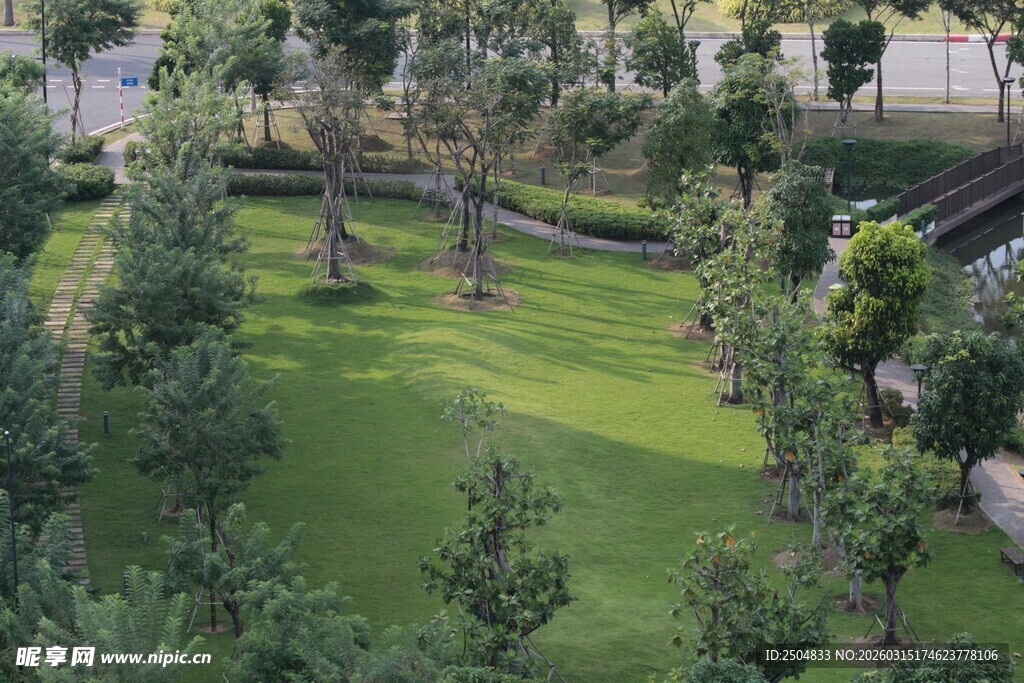 绿意盎然的庭院景观