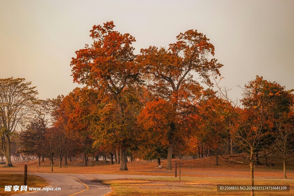 秋日林间小道的斑斓景致