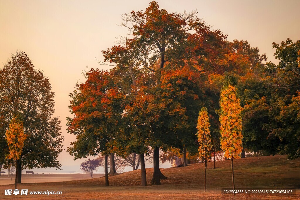 秋日湖畔斑斓树林美景