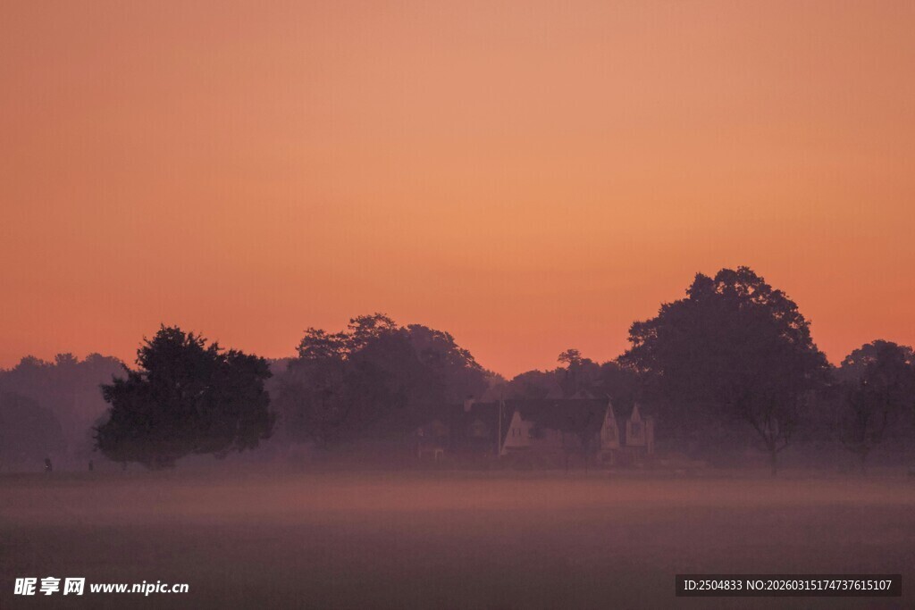 晨雾中的树林与绚丽霞光