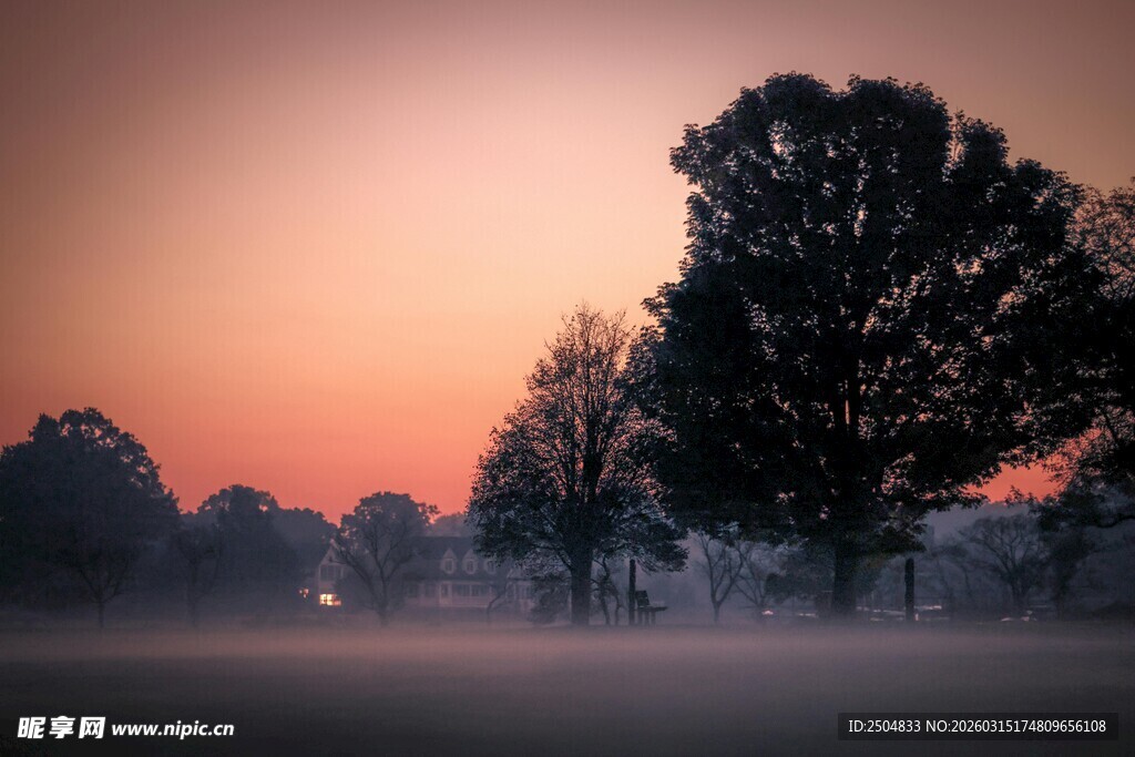 晨雾中的树木与日出美景