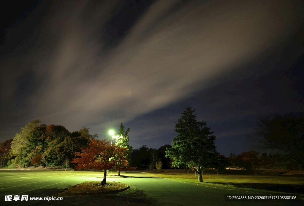 夜晚公园夜景梦幻树影