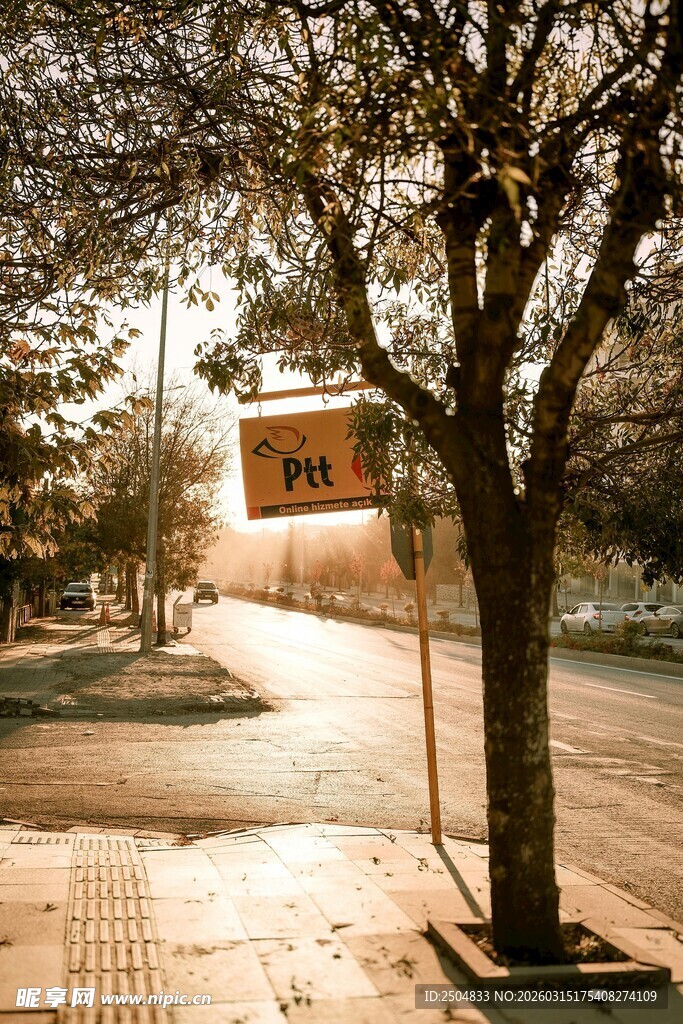 黄昏下的街道与路标景象