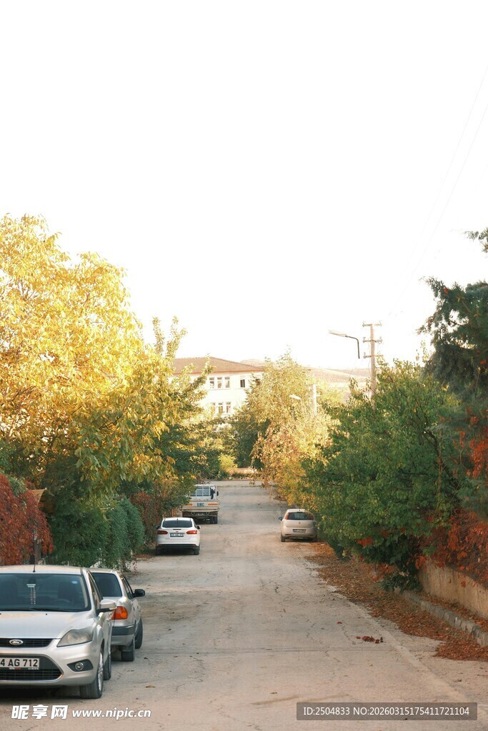 路边停放车辆的宁静街道