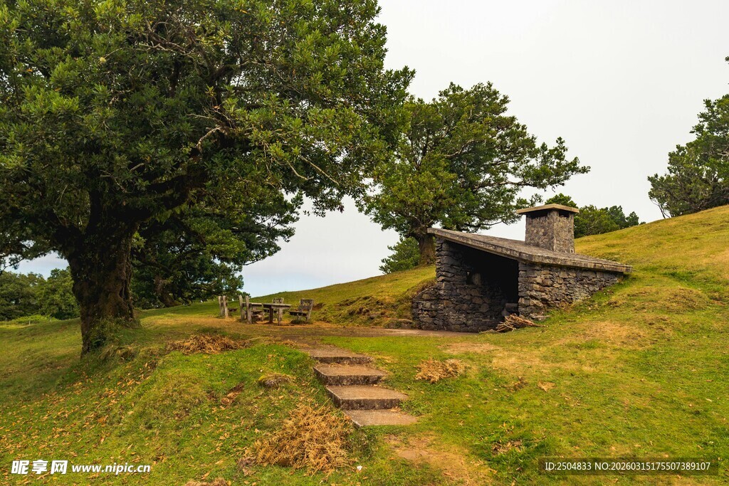 山间小屋旁的绿意小径