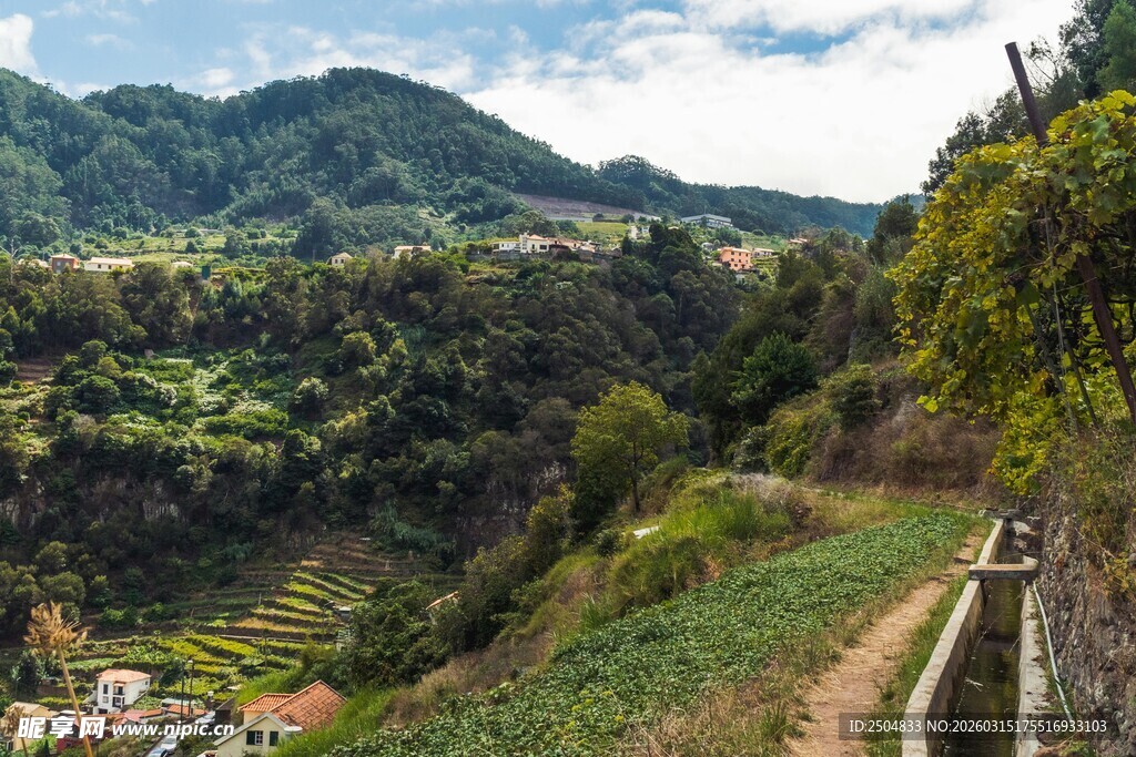 山间小径 邂逅自然美景