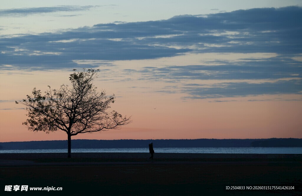 夕阳下孤树 静谧美景