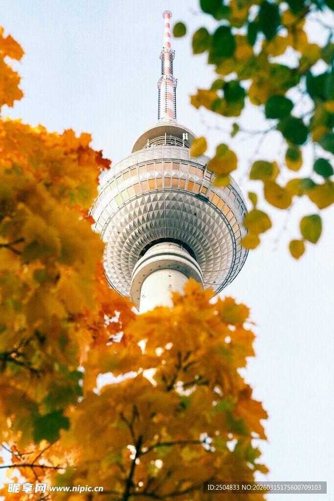 秋日黄叶映衬下的通信塔