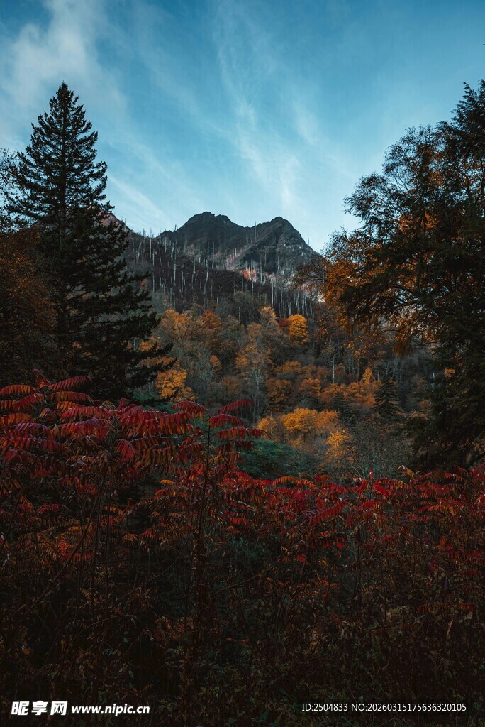 秋日山林美景