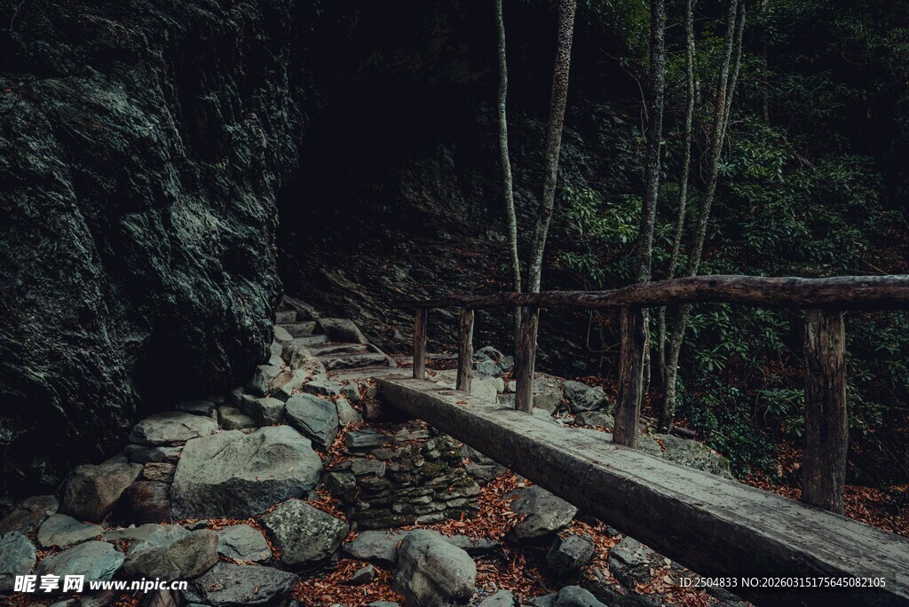 山间木径 幽僻自然景致