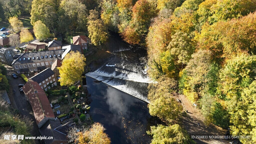 秋日山林中的蜿蜒河流