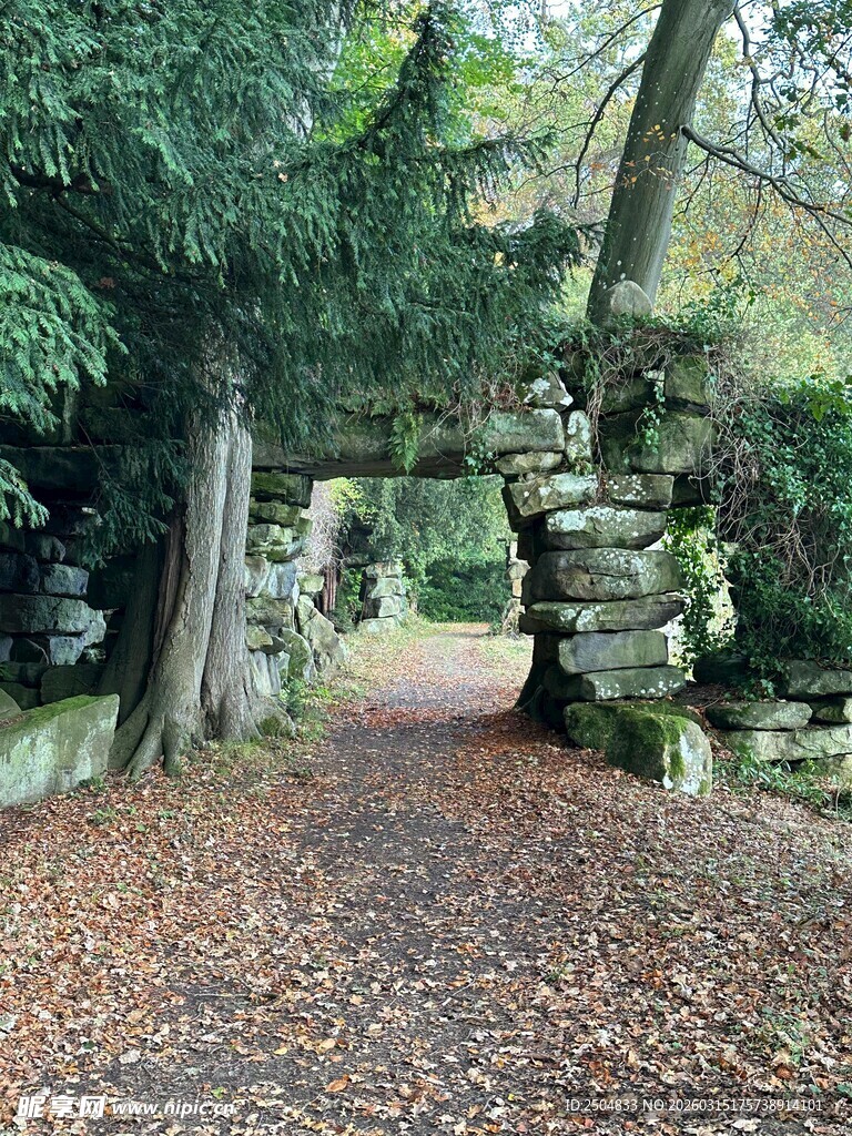 日式园林小径 静谧景致