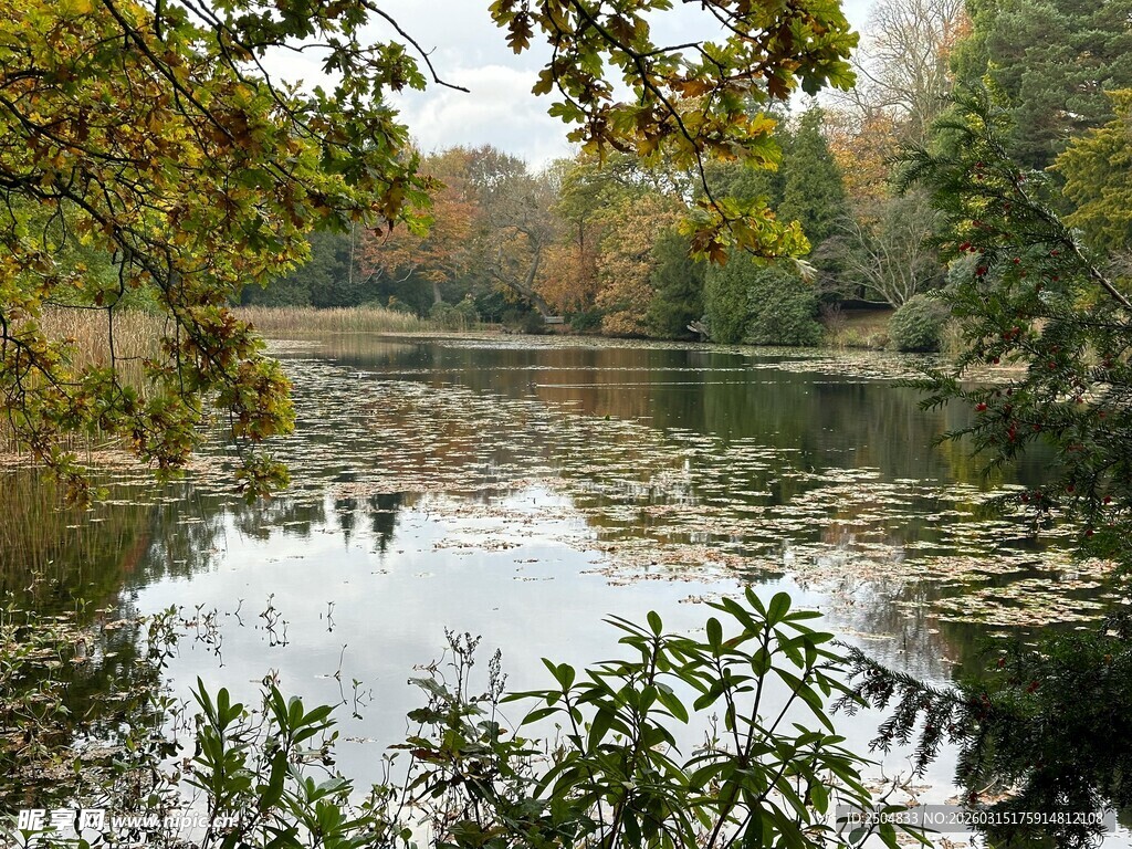 秋日湖畔美景