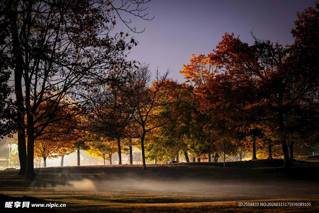 秋夜公园景色