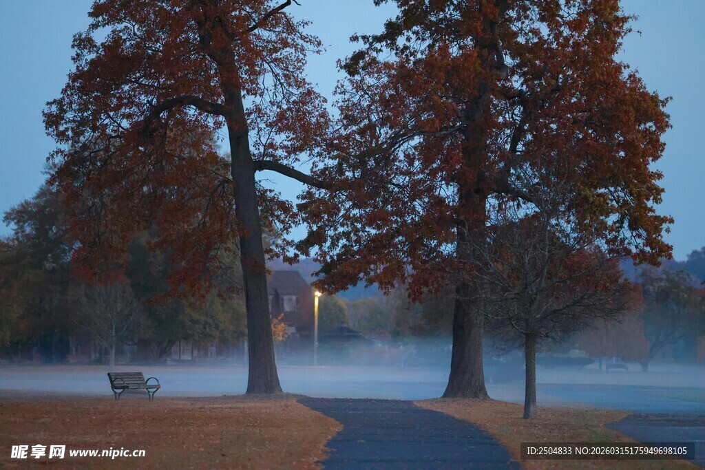 秋日晨景中的静谧林间小道