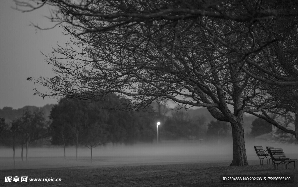 雾中公园夜景