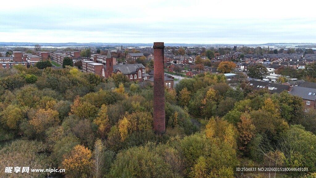 秋日树林中的高耸烟囱