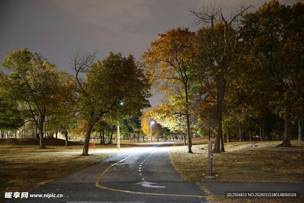 秋夜林间小路的静谧美景