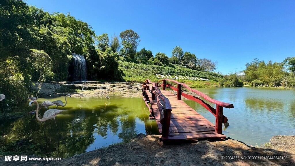 湖畔木桥 自然风景如画