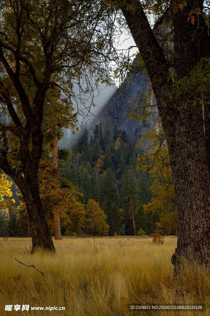 秋日山林草地美景