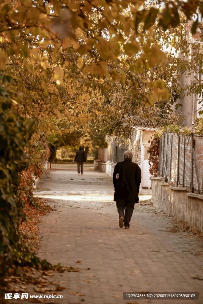 秋日独行者的静谧小道