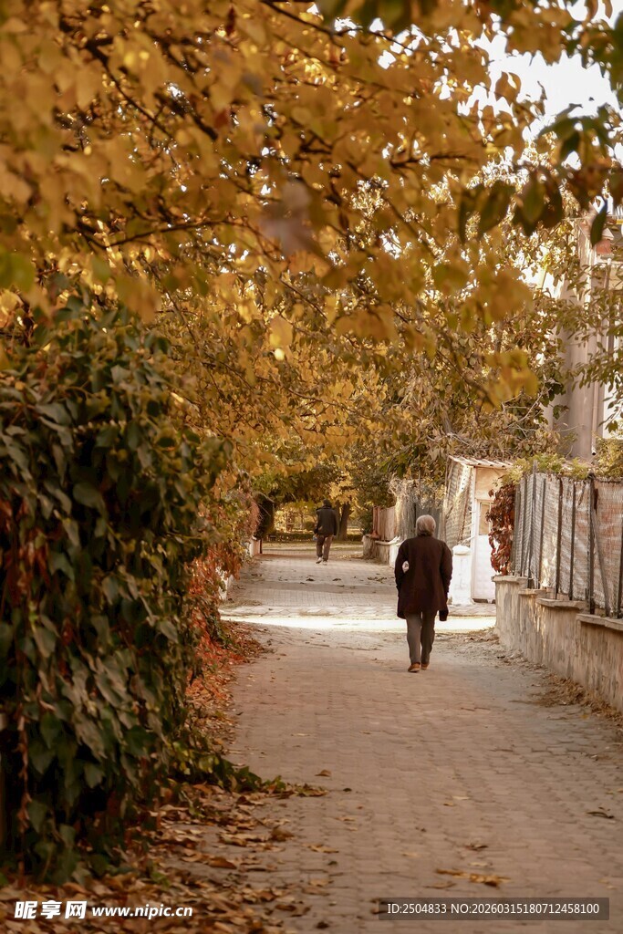 秋日小径上的独行者