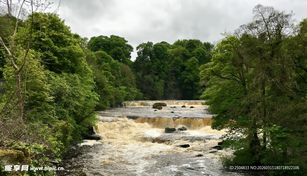 森林中的湍急河流景观