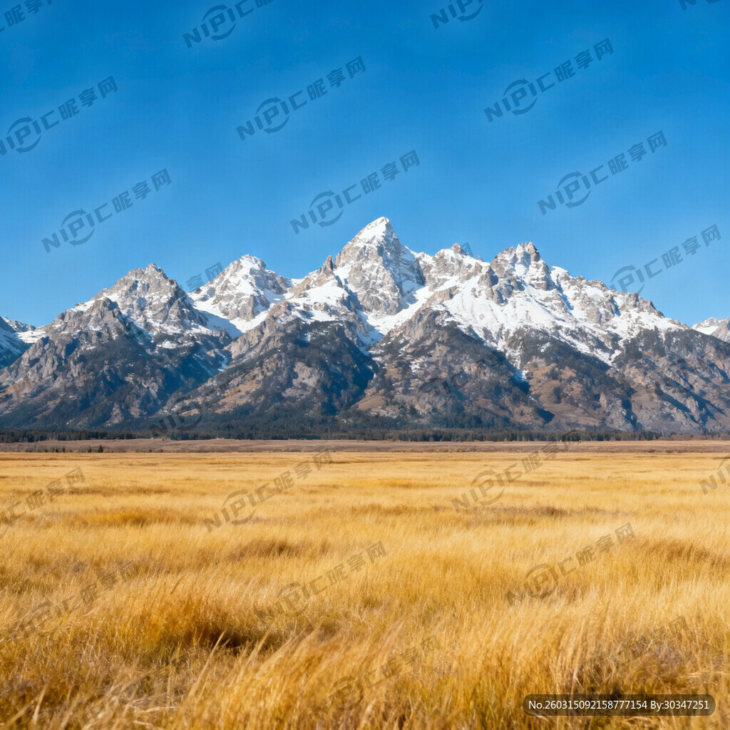 雪山草原风景  主题： ·  