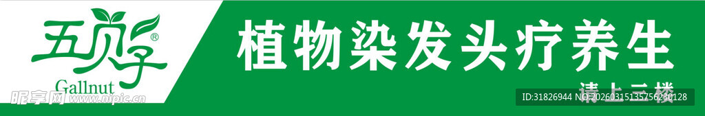 五倍子植物染发头疗养生