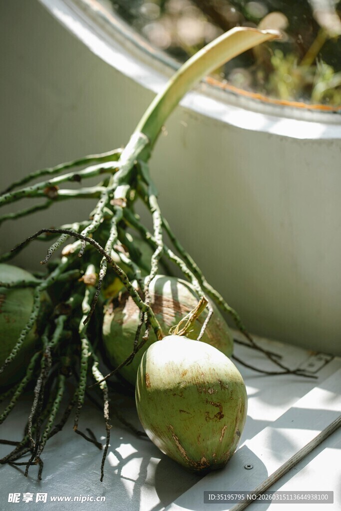 新鲜蔬菜与根茎作物展示